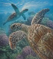 Framed Sea Turtles - Turtle Bay