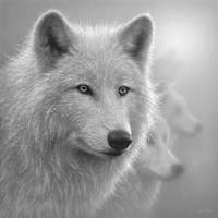 Framed Arctic Wolves - Whiteout - B&W