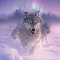 Framed Running Wolves - Northern Lights - Square