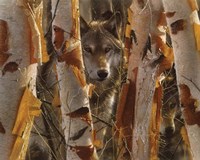 Framed Wolves - The Guardian