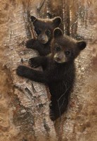 Framed Curious Cubs