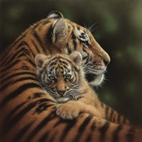Framed Tiger Mother and Cub - Cherished