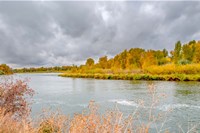 Framed Snake River Autumn VI