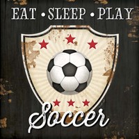 Framed Eat, Sleep, Play, Soccer