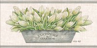 Framed Flowers & Garden White Tulips
