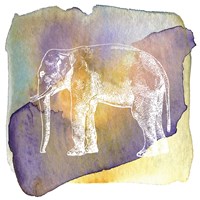 Framed 'Color Spot Safari Animals Elephant' border=