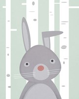 Framed 'Bunny' border=