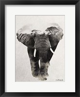 Framed Elephant Walk