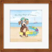 Framed 'Summer Paws III' border=