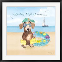 Framed Summer Paws III