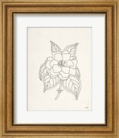Framed Gardenia Line Drawing