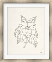 Framed Gardenia Line Drawing