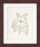 Framed Gardenia Line Drawing