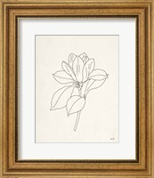 Framed Magnolia Line Drawing