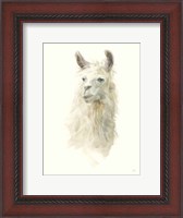 Framed Classic Llamas II