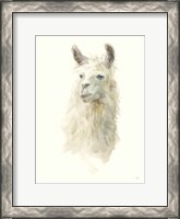 Framed Classic Llamas II