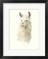 Framed Classic Llamas II