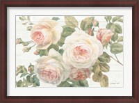 Framed Vintage Roses White on Shiplap Crop