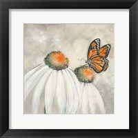 Framed Butterflies are Free II