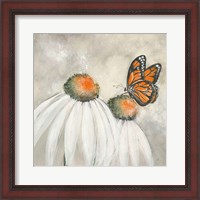 Framed Butterflies are Free II
