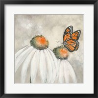 Butterflies are Free II Framed Print