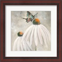 Framed 'Butterflies are Free I' border=