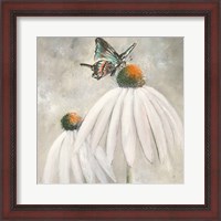 Framed 'Butterflies are Free I' border=