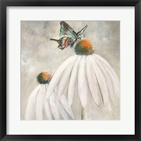 Butterflies are Free I Framed Print