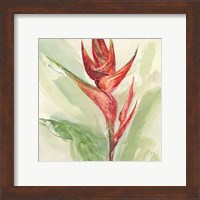 Framed 'Exotic Flower IV' border=