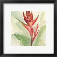 Framed 'Exotic Flower IV' border=