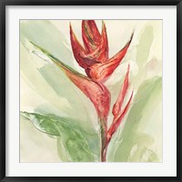 Framed Exotic Flower IV