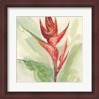 Framed Exotic Flower IV