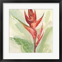 Framed 'Exotic Flower IV' border=