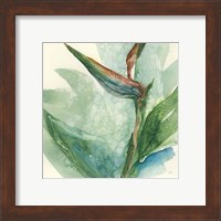 Framed 'Exotic Flower III' border=