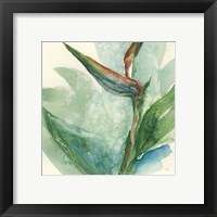 Framed 'Exotic Flower III' border=