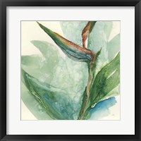 Exotic Flower III Framed Print