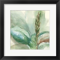 Framed Exotic Flower I