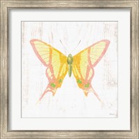 Framed White Barn Butterflies IV