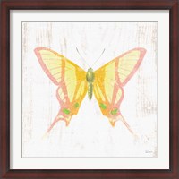 Framed White Barn Butterflies IV
