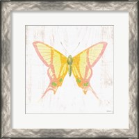 Framed 'White Barn Butterflies IV' border=
