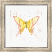 Framed White Barn Butterflies IV