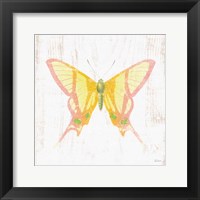 Framed White Barn Butterflies IV