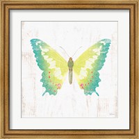 Framed White Barn Butterflies III