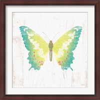 Framed White Barn Butterflies III