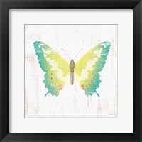 White Barn Butterflies III Framed Print