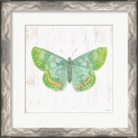 Framed White Barn Butterflies II