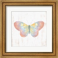 Framed White Barn Butterflies I