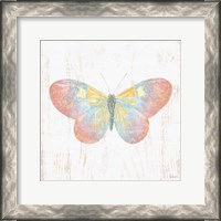 Framed White Barn Butterflies I
