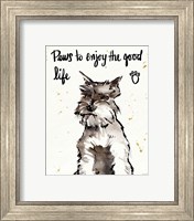 Framed 'Strike a Paws XIV' border=