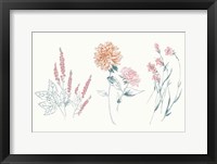 Flowers on White VIII Contemporary Bright Framed Print